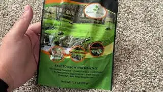 The Best Lawn Alternative: Mini Clover
