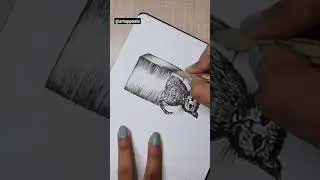 Inktober Challenge 2021 Day 22 | Prompt Open | Drawing a Cat Sitting In An Open Box