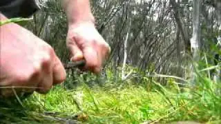 Bear Kennedy Man Vs Everything - Episode 5 - Survival Shelter