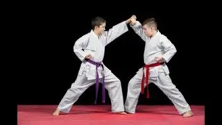 3rd international open karate championship 2017 at netaji indoor stadium3