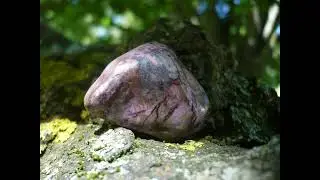 AEAC121 Sugilite & Bustamite