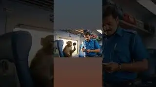 #AImonkeyfunny #monkey video monkey vlog AI animal videos 3D monkey animation funny train monkey