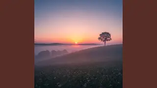 Shine Like the Morning