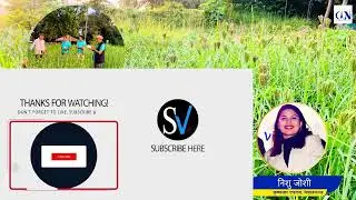 तराईको जिल्ला बाँकेमा कोदो फलेपछि किसानहरू यसतर्फ आकर्षित || Radio Report || Raithane Bali