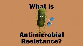 AMR Part 01 | What's Antimicrobial Resistance?