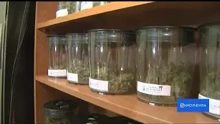 Doctor shares concerns of Medical Marijuana program in Missouri