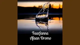 Ulifina kooti ati