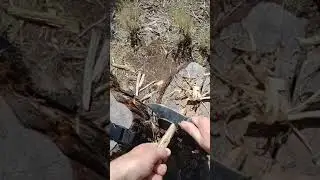 Start a fire with this survival knife kit: