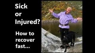 Sick or injured…How to recover FAST