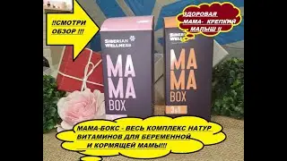 MAMA Box Грудное вскармливание - Набор Daily Box ВИТАМИНЫ ДЛЯ МАМ ОТ SIBERIAN WELLNESS