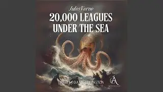 Chapter 40 - Twenty Thousand Leagues Under the Sea - Audiobook