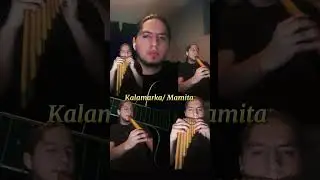 Kalamarka Mamita #musicaandina #bolivia #music #zampo&ntilde;as