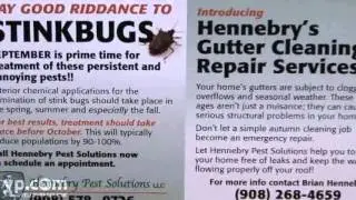 Mendham Rat and Bat Removal - Animal Removal In Mendham New Jersey