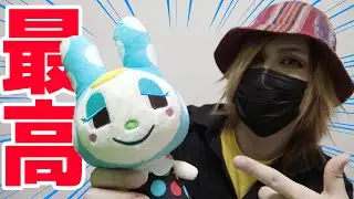 遂に罪人島メンバーがぬいぐるみになったー！！！【あつまれどうぶつの森】
