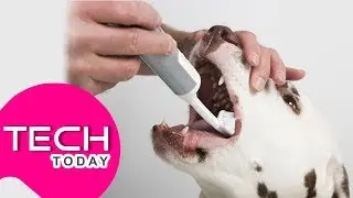5 Innovative Pet Gadgets You Must Need | Daily Tech News | Latest Technology News