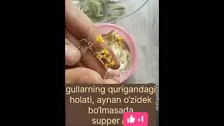 Gul quritish usullari