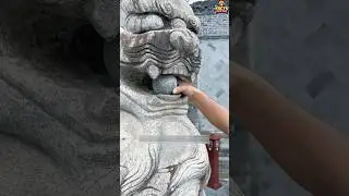Trapped Inside Lion&rsquo;s Mouth 😱 | Shocking Rescue
