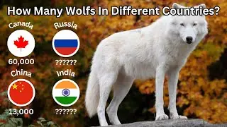 Wolf Population in Different Countries 2023 | Data Queue