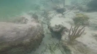 Shoreline Aquarium Neon Reef Edit