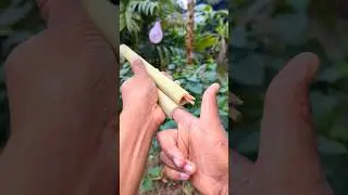 creative arrow gun #reels #slingshot #bamboo #diy #crafts