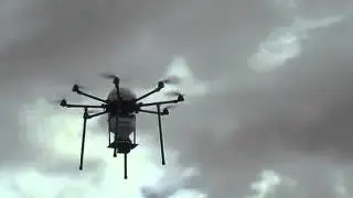 Drones forestales