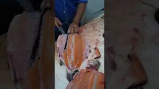 Lightning Fast Fish Fillet Skills You Won&rsquo;t Believe