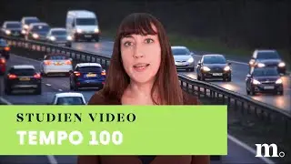 Survey Insights: Tempo 100