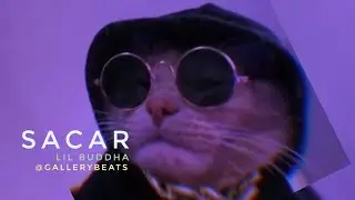 SacaR Lil Buddha Type Beat  'Trip' / Free Type Beat 2020