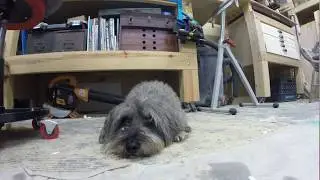 Lets make a Murphy Bed with Dusty & Famous