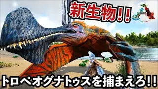 【ARK】新生物で超レア！Lv150のトロぺオグナトゥス捕獲に着手ッ！（前編）＃58【クリスタルアイルズ】