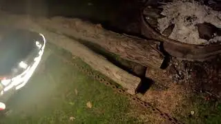 Using ancient technology to move tree!