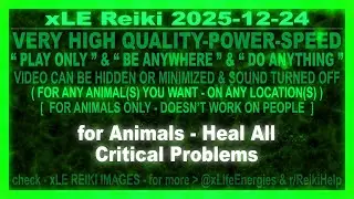 xLE Reiki | for Animals - Heal All Critical Problems
