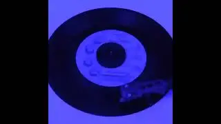 The Jaguars - Where Lovers Go - [Direct Vinyl Transfer] - Eastside Sound