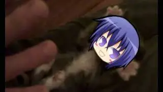 Surprised Kitty (Ikuto)