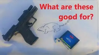CCI 9mm Shotshells Put to the Test