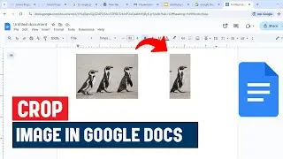 Как обрезать изображение в Google Документах | Легкое изменение размера и редактирование изображений