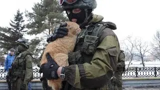 Ремикс по поводу... всем котам посвящяется...