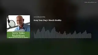 Keep Your Dog&rsquo;s Mouth Healthy