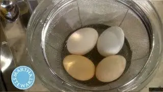 How to Peel a Hard-Boiled Egg⎢Martha Stewart's Cooking School