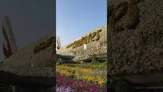 Emirates flower airplane in dubai miracle garden