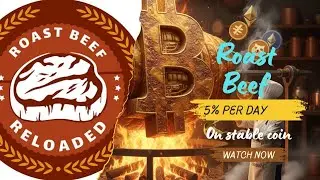 Earn with Stable Coin in Roast Beef 2.0