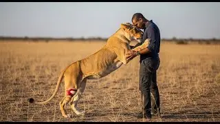 Man Tries to Save Lion with Tumor &ndash; The Animal&rsquo;s Reaction Surprises Everyone,