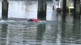DFD Boat Drill 061615
