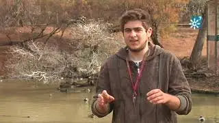 Cañada de los Pájaros y Dehesa de Abajo, humedales de invernada y nidificación de aves