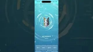 ✨НОВЫЙ Блестящий Морпеко ПОЙМАН В Pokemon Go!✨ #шорты #покемон