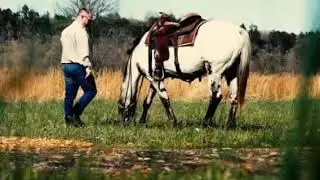 Appaloosa Horse