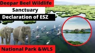 Deepar Beel Lake | Eco sensitive Zone Declaration| News Simplified |ForumIAS