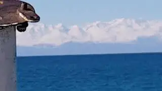 Kyrgyzstan, Issyk-kul, 키르키즈스탄 이식콜 호수