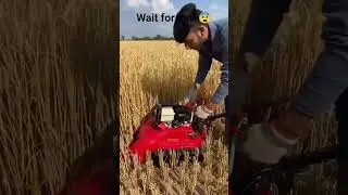 TECNOLOGY 🚜 mini harvester engine machine cutting use on  remote control #farming #harvester