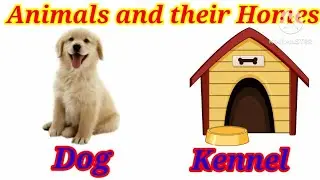 Animals and their Homes /Match the Animals and their Homes